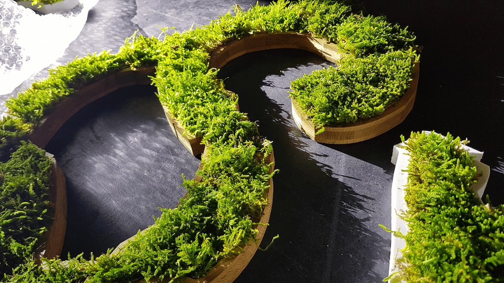 Logo 3D en végétal stabilisé pour décoration de bureaux