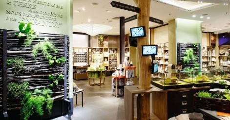 L’attribut alt de cette image est vide, son nom de fichier est paristic-agence-decoration-murale-vitrophanie-marketing-sensoriel-nature-et-decouverte-1.jpg.